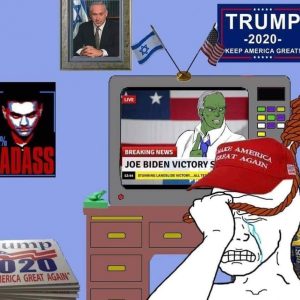 Trump supporters losing the 20202 election Pepe